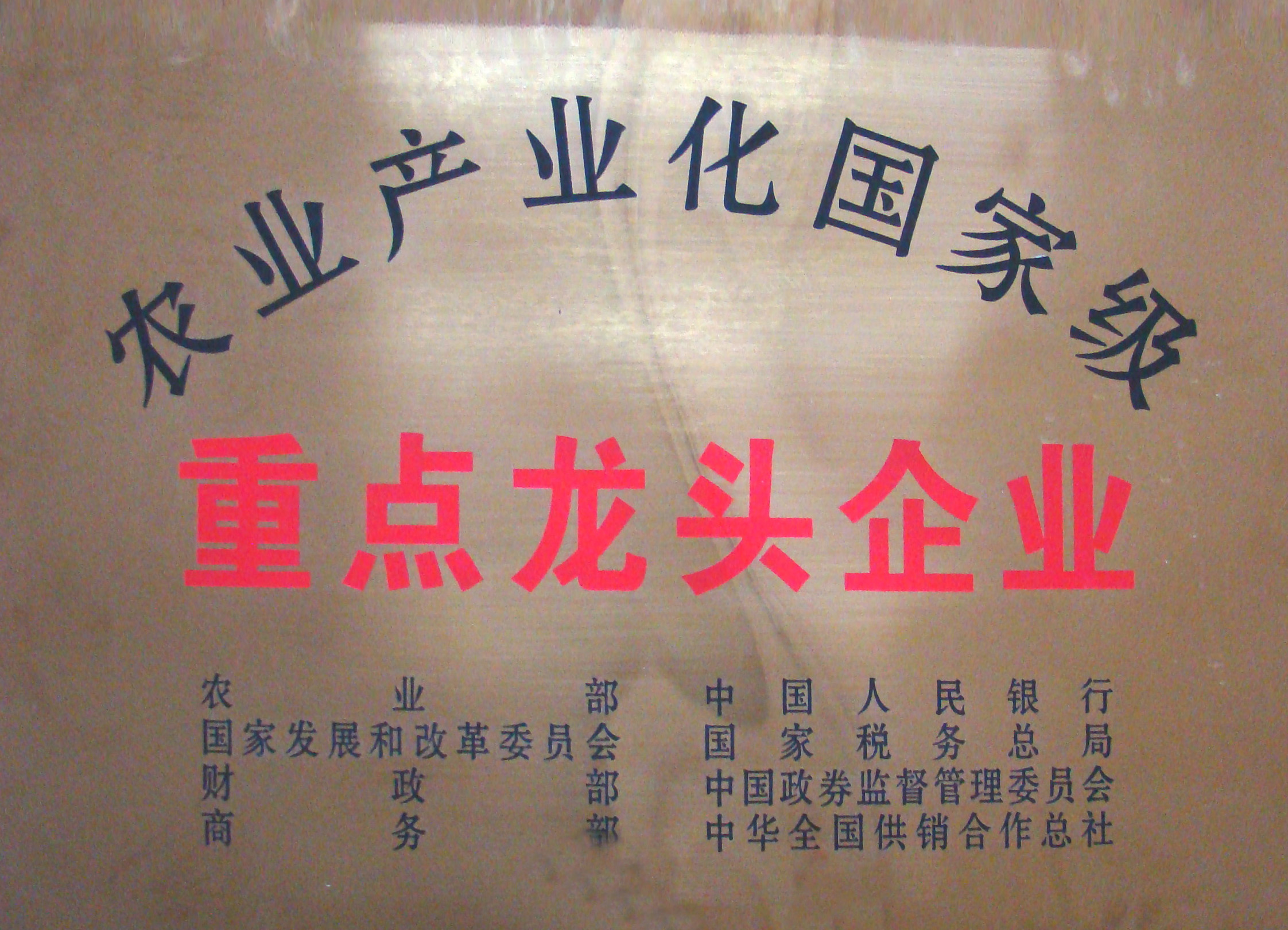 重點(diǎn)龍頭企業(yè)